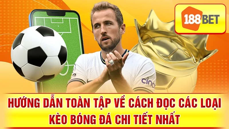 Hướng Dẫn Toàn Tập Về Cách Đọc Các Loại Kèo Bóng Đá Chi Tiết Nhất
